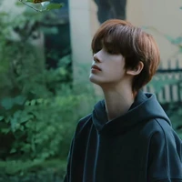 Đinh Trình Hâm