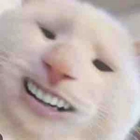 T/G”com mồm lèo”