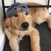 ♑︎ | _𝗯𝗮𝗲𝗸𝗸𝗮𝗻𝗴 ²⁶