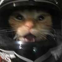 ♋︎ | 𝗮𝗹𝗿𝗶𝗴𝗵𝘁.𝘀𝗲𝗼𝗸 ²⁴