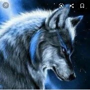 tiểu sói : của nữ9