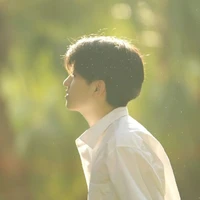 Thẩm Tinh Kỳ