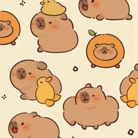 qu@n