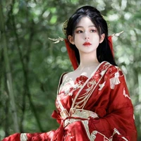 Triệu Giai Kỳ