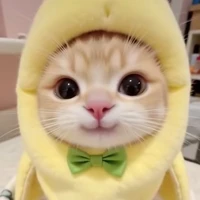 con tác giả cute hột me