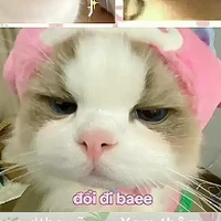 em nhỏ tác giả cute hột me