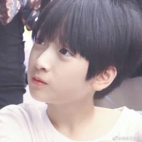 Nghiêm Hạo Tường(Lúc Nhỏ) Đại