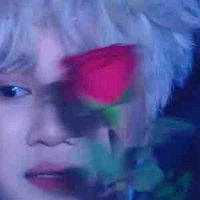 Captain boy |Duck Di|