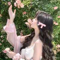 Trương Diệp Anh