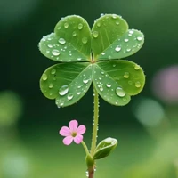 Tất cả người ( Trừ Tứ Hoàng, hải quân)