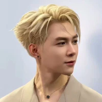 Bùi Anh Tú