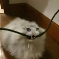 TG thích bú ( đá)