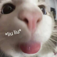 Tg_Riie