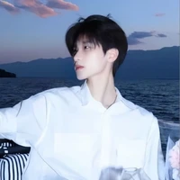 Trần Diệp Vũ