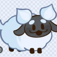 creamy sheep