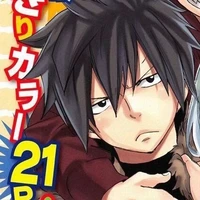 Gray Fullbuster