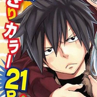 Gray Fullbuster