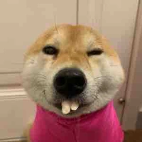 Chú choá xấu số