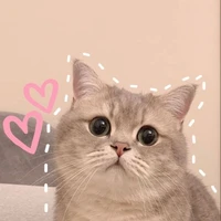 t/g