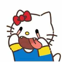 Hzann kitty