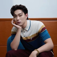 dương domic