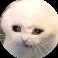 Hệ thống 356 ◇ Miêu Miêu ◇