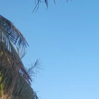 All ( trừ ai thì trừ)