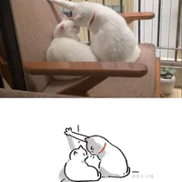 tg