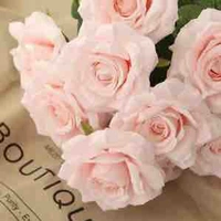 Cô quản lí ký túc xá🗝️