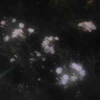- Bí Ẩn -