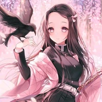 Nafumi Assi