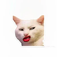 mỹ nữ chân ngắn