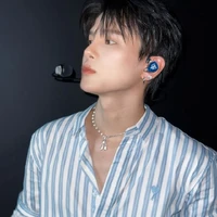 Phạm Đình Thái Ngân