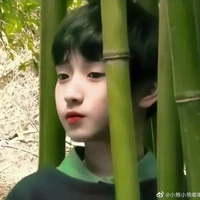 NGHIÊM HẠO TƯỜNG