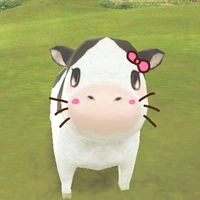 Bò_cute