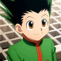 Gon Freecss