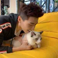 Lão Miêu (ZGDX_Cat)