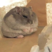 t/g