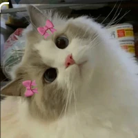T/g