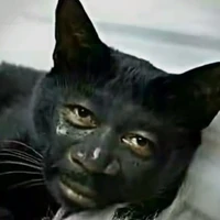 Quản gay nhà bi jan