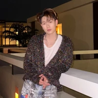 dương domic