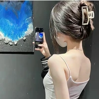 Ngọc Hạ( chị của Dương)