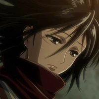 mikasa
