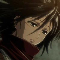 mikasa