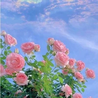 t/g ( lươn)