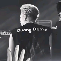 Đăng Dương(Dương Domic)