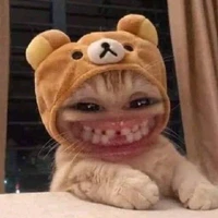 tác giả nè