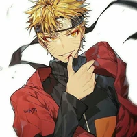 Namikaze/Uzumaki Naruto