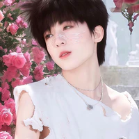 Dương Bác Văn