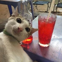 Tác giả